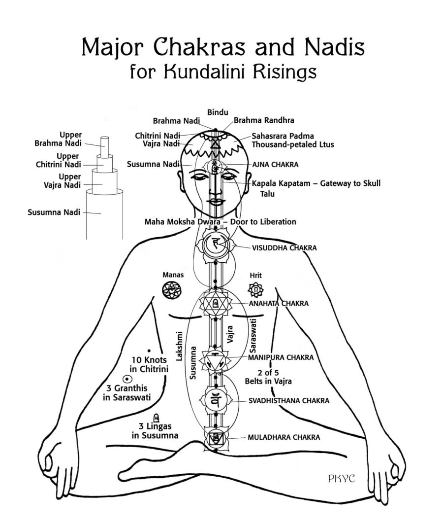 Figure 2. Major Nadis & Chakras in Kundalini rising